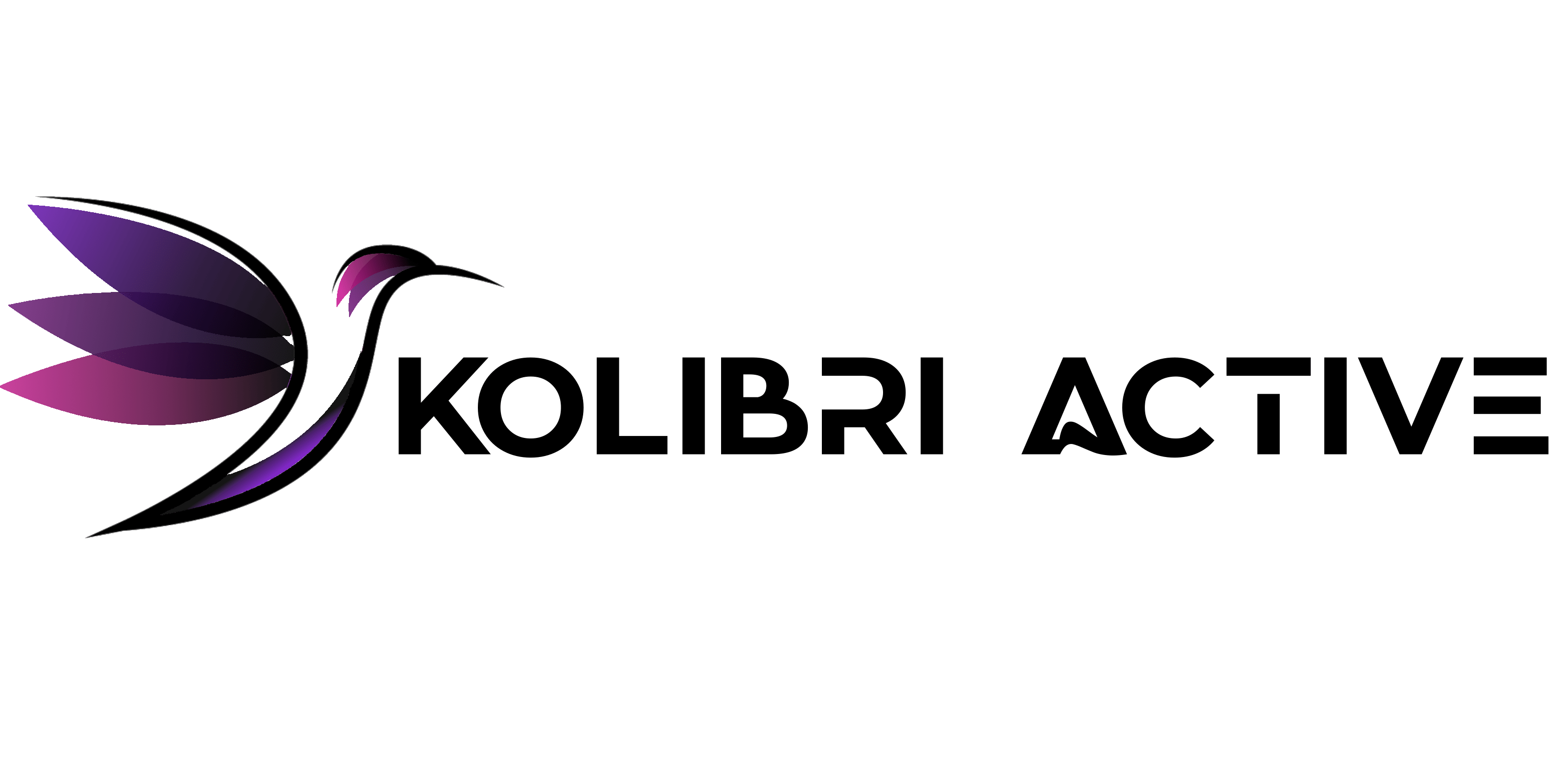 kolibriactivewebsitelogo